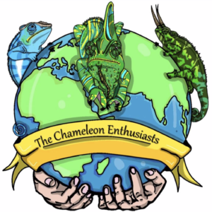 TCE logo