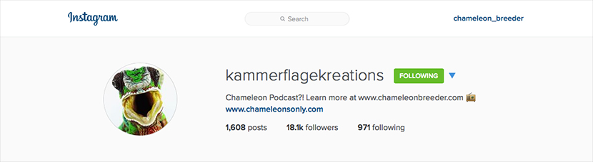 Kammerflage Instagram