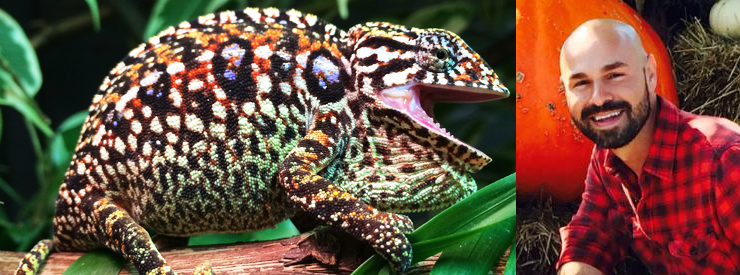 Carpet Chameleons with Kevin Stanford