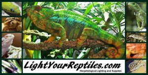 Lightyourreptiles.com logo