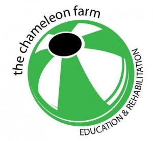 The Chameleon Farm