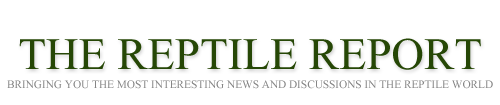 The Reptile Report logo