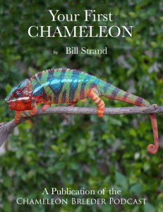 Your First Chameleon