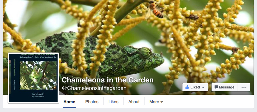 Chameleons in the garden