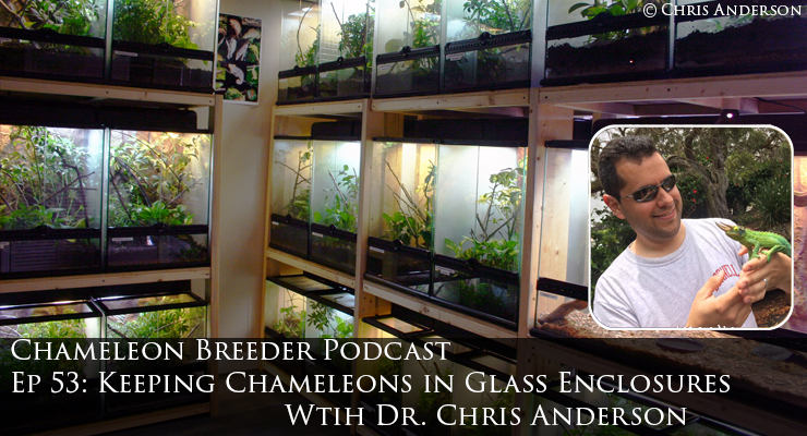 Chameleons in Glass Enclosures with Dr. Chris Anderson