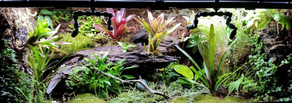 Vivarium