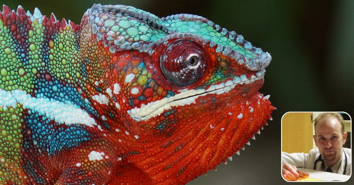 Ep 66: Eye Health in Chameleons with Dr. Rob Coke ...