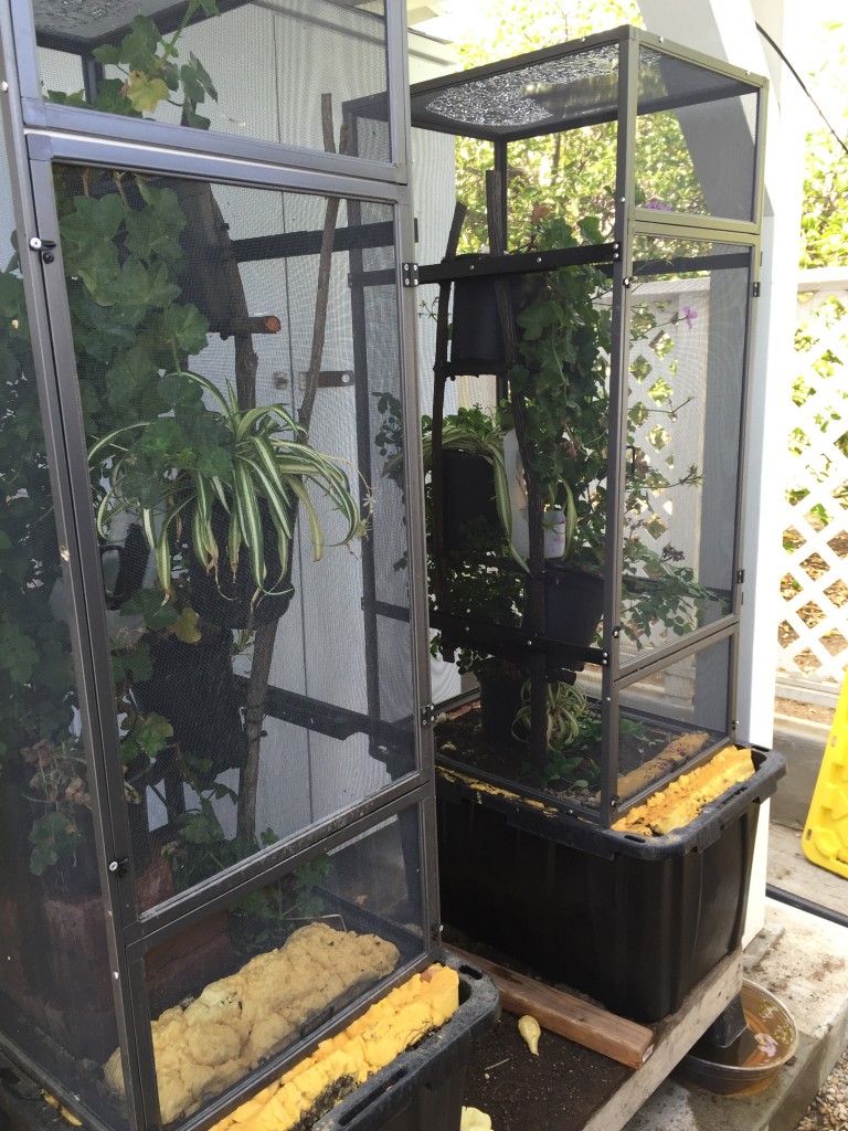 laying bins under screen cages