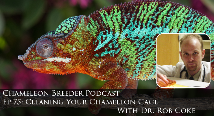 Chameleon Breeder app