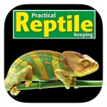 Practical Reptile Keeping 