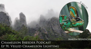 Veiled Chameleon Lighting