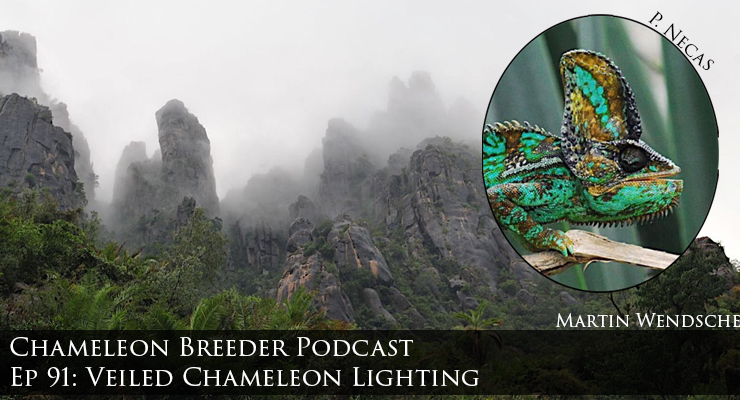 Veiled Chameleon Lighting