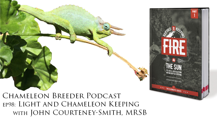 Light and Chameleon Keeping with John Courteney-Smith