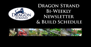 Dragon Strand Newsletter