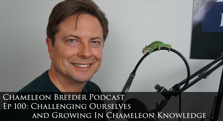 Ep 100 Profile Image Bill Strand Chameleon Breeder Podcast