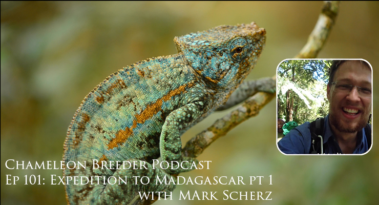 Chameleons in Madagascar with Mark Scherz