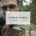 Mark Scherz website