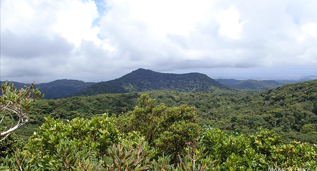 top of mountain 1110x600 skyline montagne d'ambre
