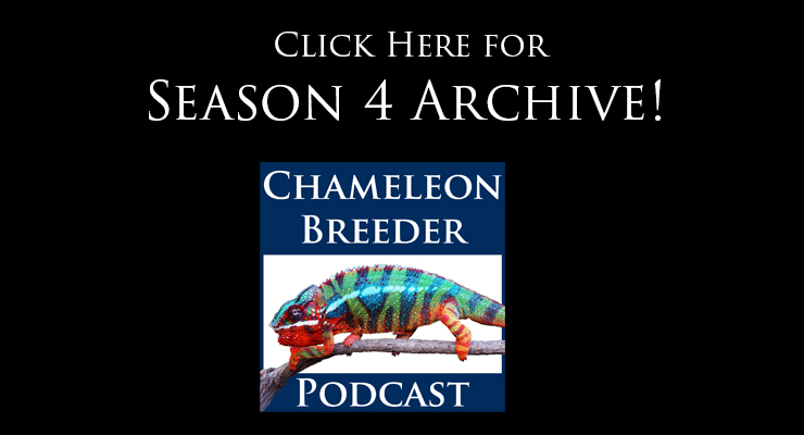 Chameleon Breeder Podcast Season 4