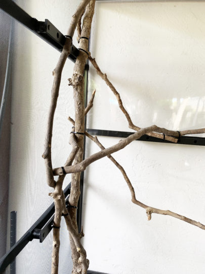 branch grid 405x540 Dragon Strand Medium Tall Atrium
