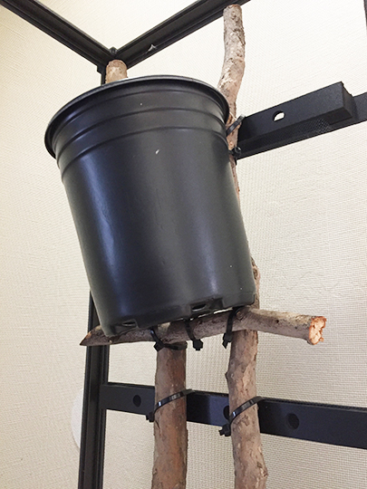 mounted pot 540x405