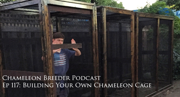 Ep 117 Profile Image Building Your Own Chameleon Cage