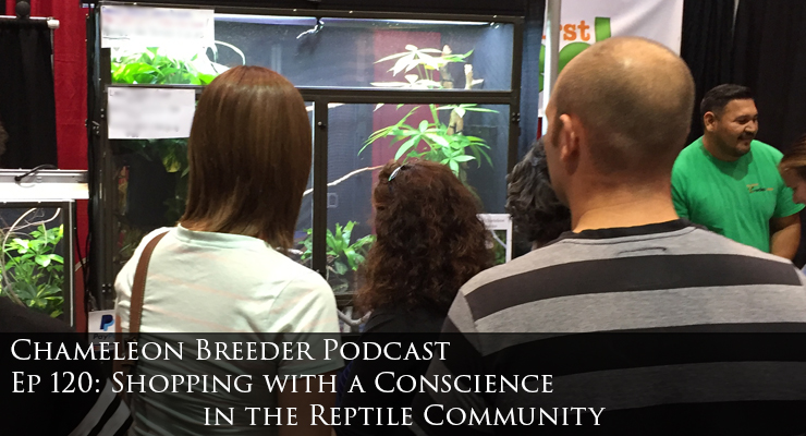 Ep 120 Profile Image Shopping for chameleon supplies
