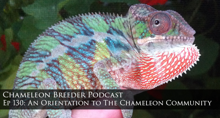 Welcome to the Chameleon Community