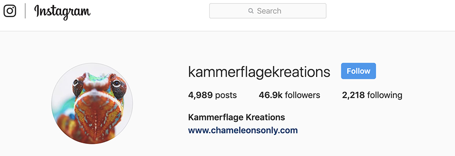 Kammerflage for Instagram