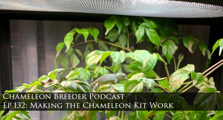 Making the Chameleon kit work