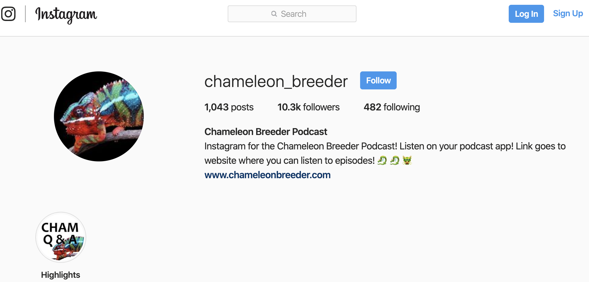 Chameleon Breeder Instagram