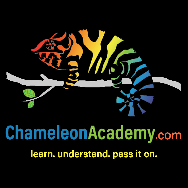Chameleon Academy logo