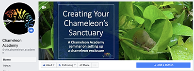 Chameleon Academy Facebook
