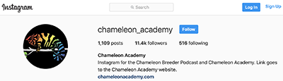 Chameleon Academy Instagram